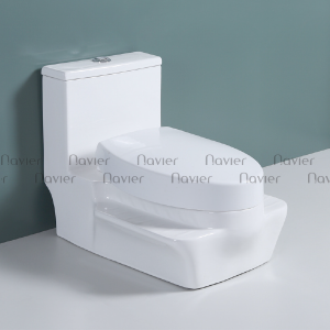 Bồn Cầu Ngồi Xổm Tích Hợp Đa Năng Hai Trong Một Cao Cấp Navier NV-1081