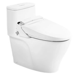 Bồn Cầu Điện Tử INAX AC-989/CW-KA22AVN Có Remote