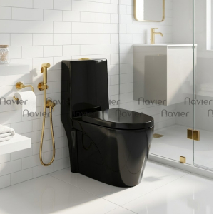 Bồn cầu 1 khối Navier NV-903D