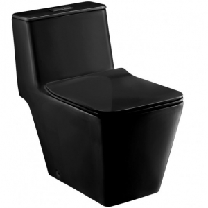 Bồn Cầu Một Khối Màu Đen Nắp Đóng Êm Simply Modish Chính Hãng Cotto C1032 MBK