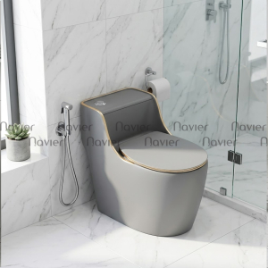Bồn Cầu 1 Khối Xám Viền Vàng Nút Lệch NV-1013X